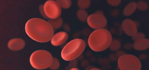 anemia_cervene_krvinky