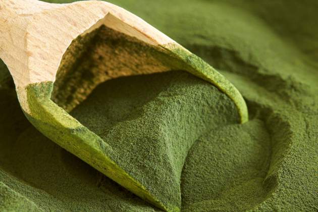 Chlorella Chlorella