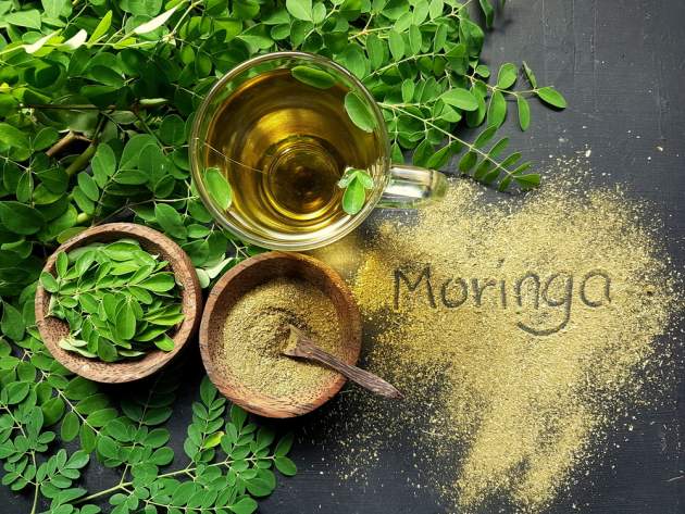 moringa moringa