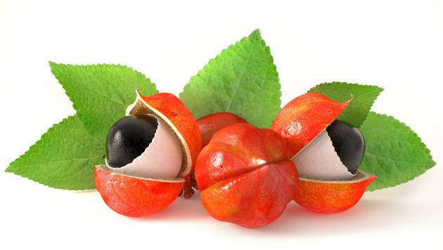 Guarana Guarana