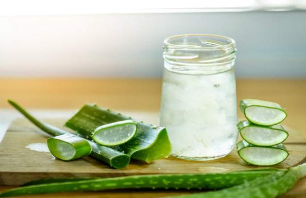Aloe vera Aloe vera