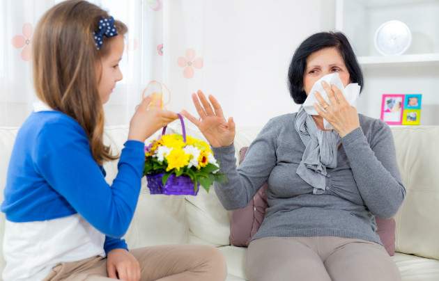 Imunita a alergia Imunita a alergia
