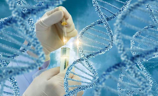 Test DNA zo slín Test DNA zo slín