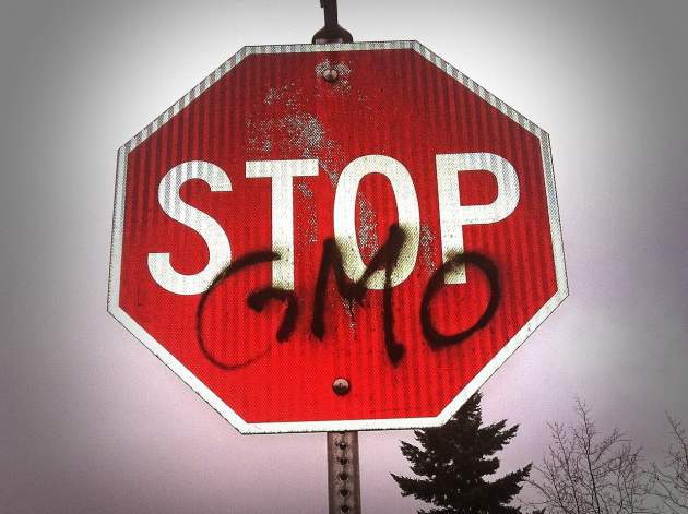 gmo gmo