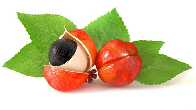 Guarana Guarana