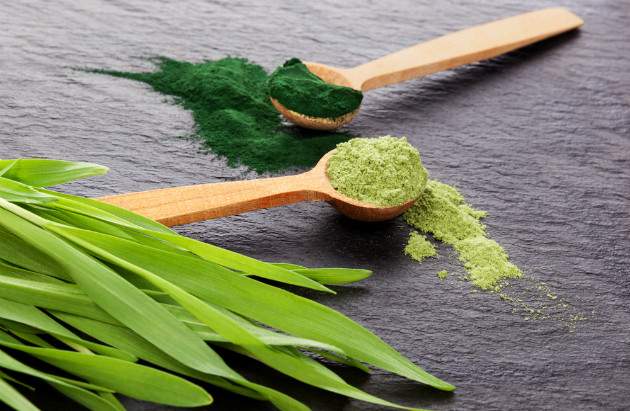 Chlorella Chlorella