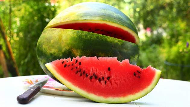 Melón Melón