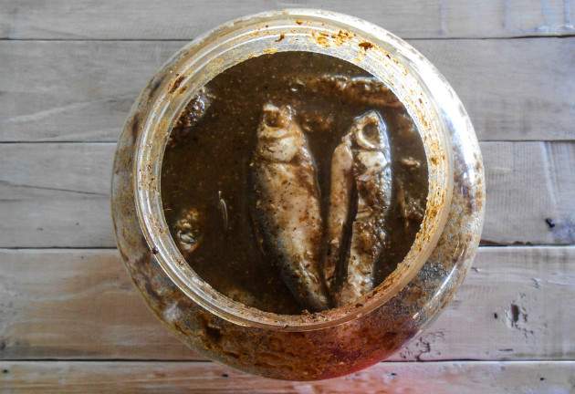 Smradľavá ryba surströmming Smradľavá ryba surströmming