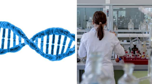 Prelomová metóda v liečbe genetických ochorení Prelomová metóda v liečbe genetických ochorení