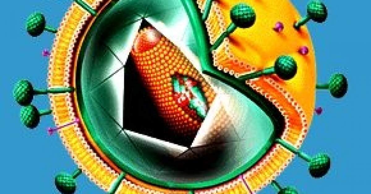 Solkoderm papilloma na krku Solkoderm papilloma na krku