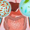Ako strava ovplyvňuje mikroorganizmy v našom tele?