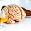 Ako pôsobí alkohol pri pravidelnej a častej konzumácii na orgány?
