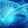 DNA a génové inžinierstvo
