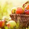 Tajomstvo zdravia ukryté v jablkách