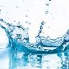 Element Voda - obličky a močový mechúr