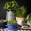 Spravte si vlastnú bylinkovú mini záhradku