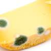 Je nebezpečné jesť syr s plesňou?