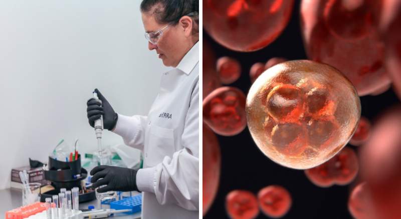 Vedci vyriešili 100 rokov starú záhadu o rakovinových bunkách!