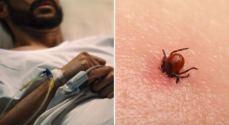Ľudia s nebezpečnou kliešťovou encefalitídou, hospitalizovaní v trenčianskej nemocnici, sa zrejme nenakazili priamo od  kliešťov. Toto je podľa odborníkov možný zdroj nákazy!